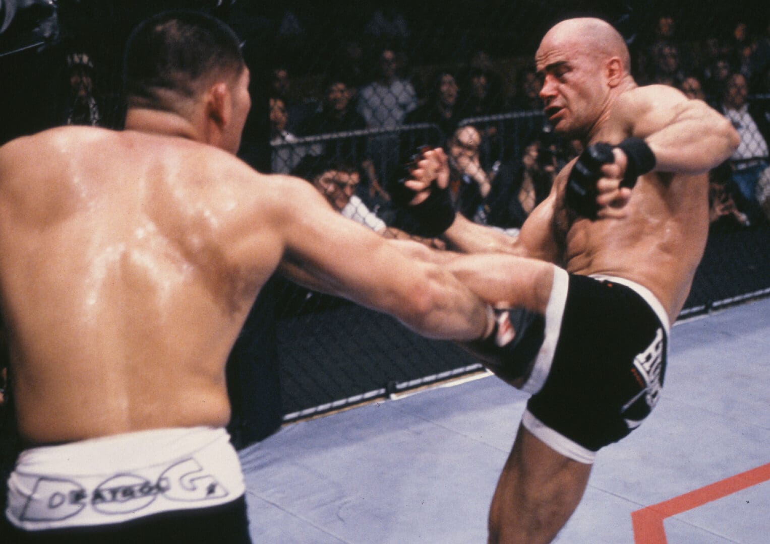 14 Most Devastating MMA KOs of All Time - Muscle & Fitness